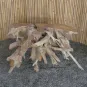 morepic-11